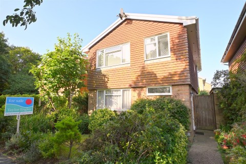 View Full Details for Rowan Avenue, Eastbourne